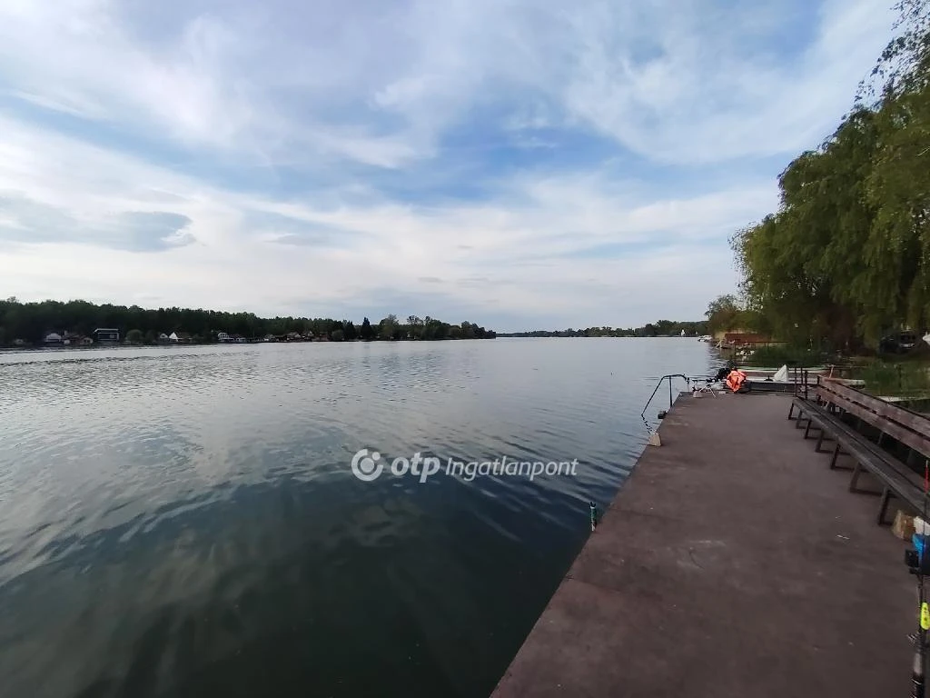 Eladó családi ház, Dömsöd, Vízparti
