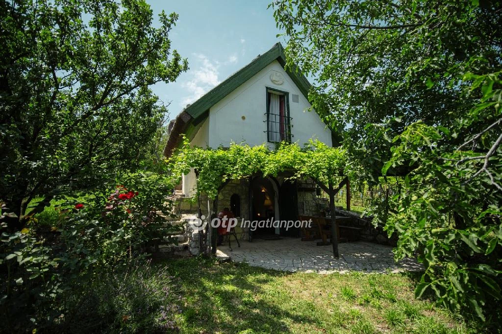 For sale house, Vászoly, Kakashegy