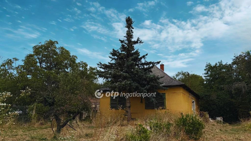 Eladó családi ház, Balatonfőkajár, Pince sor