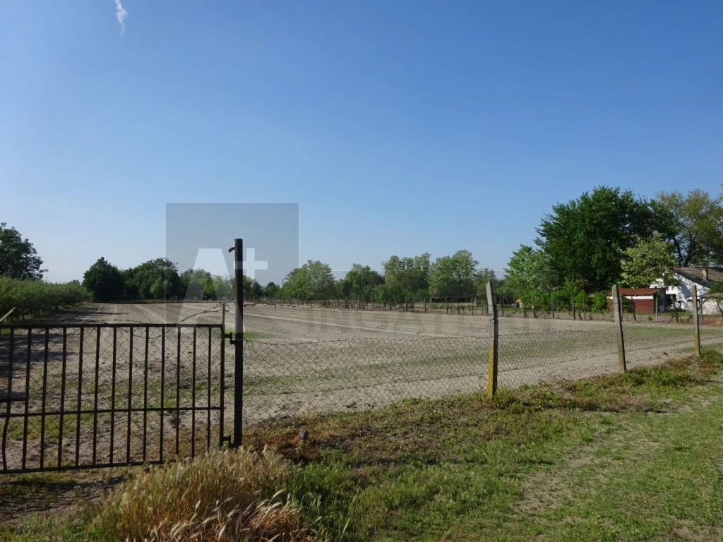 For sale other agricultural, Domaszék