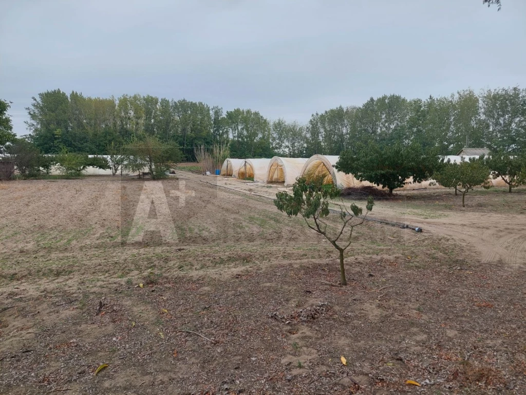 For sale periphery plot, Balástya