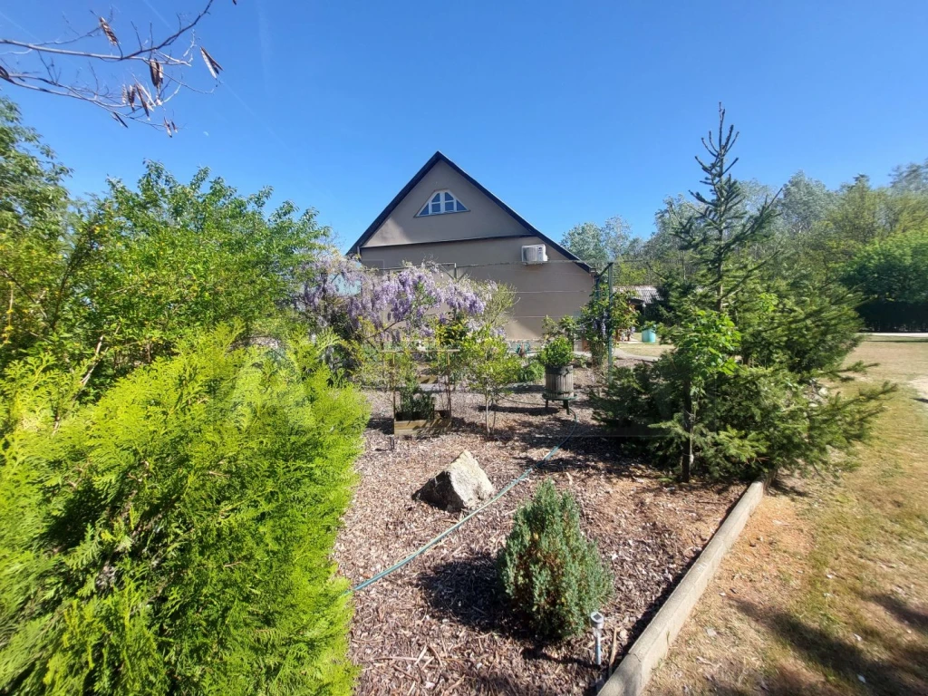 Mórahalmi tanya eladó!