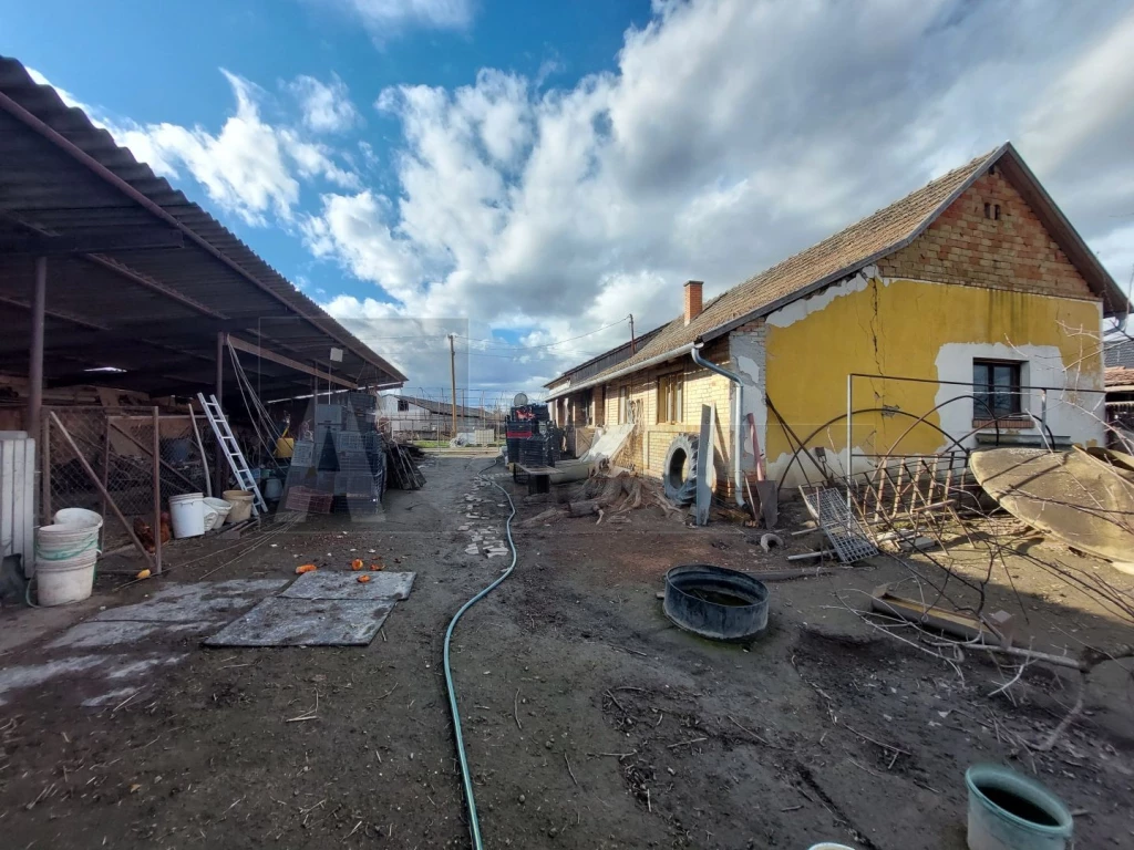 Eladó 115 m2 családi ház, Röszke