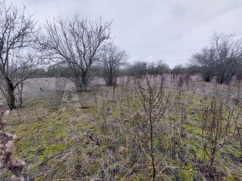 Eladó 0.74 ha termőföld, Röszke