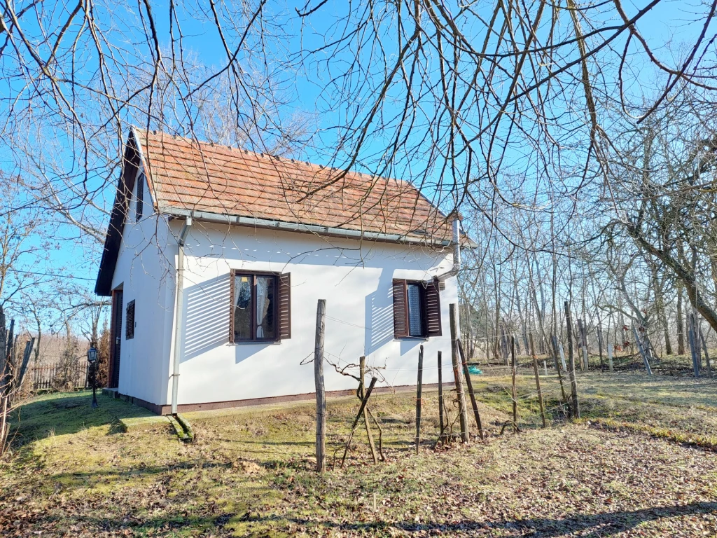 Vásároljon nyaralót/otthont a Csongrád-Bokroson, a Tisza parttól 200 méternyire!