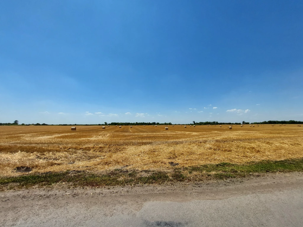 Makó zártkert, összesen 5780 nm ingatlan eladó!