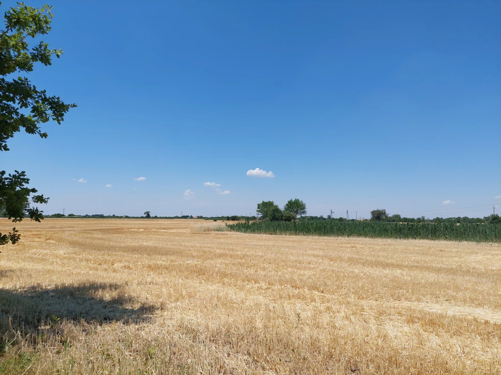 Makó zártkert, 1475 nm „kert, gazdasági épület, szőlő” megnevezésű ingatlan eladó!