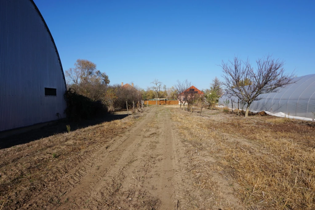 Lehetőségek sora…