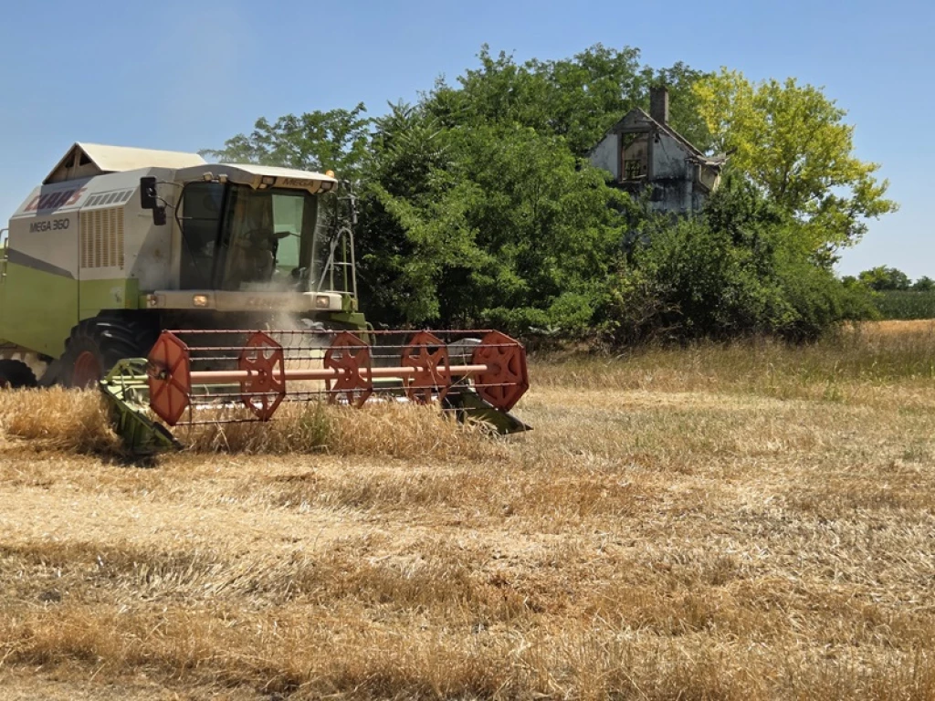 Eladó szántóföld Felgyőn!