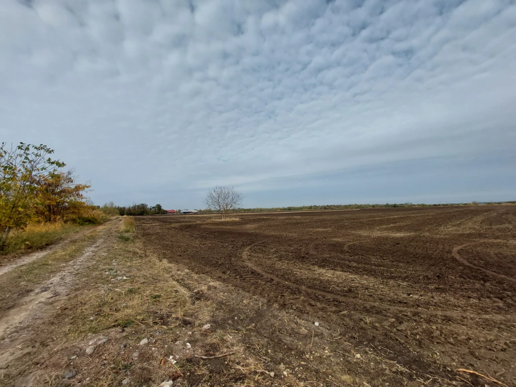 Szeged-Tápén, 2749 m²-es telek eladó, 10%-os beépíthetőséggel!