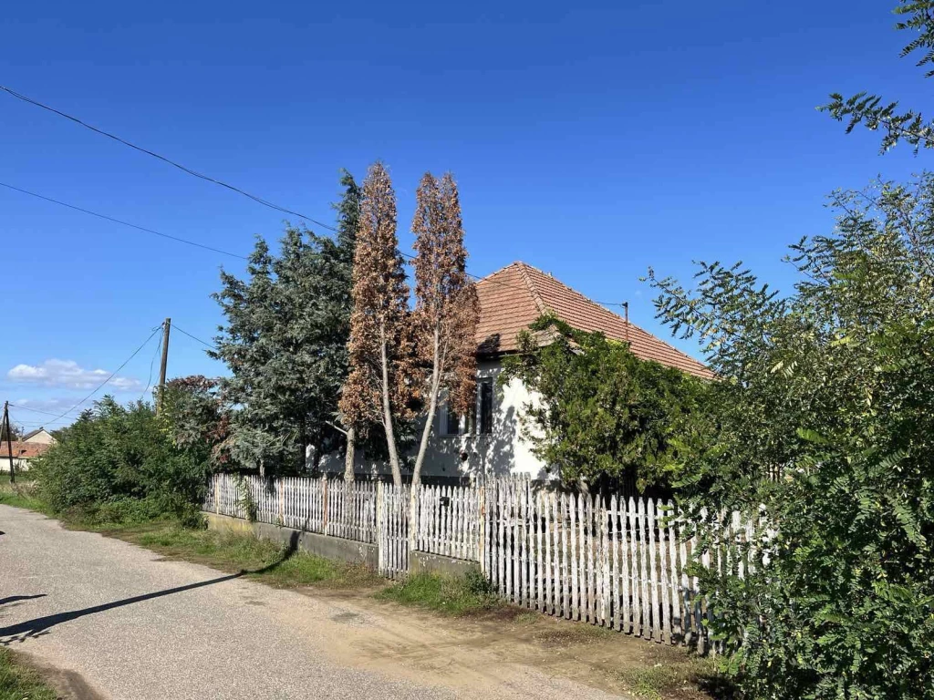 For sale house, Kenézlő