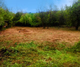 ELADÓ MISKOLC – Magashegy KIKERICS utcában egy 800 m², D/NY-i fekvésű, BELTERÜLETI építési telek, REMEK ÁRON!