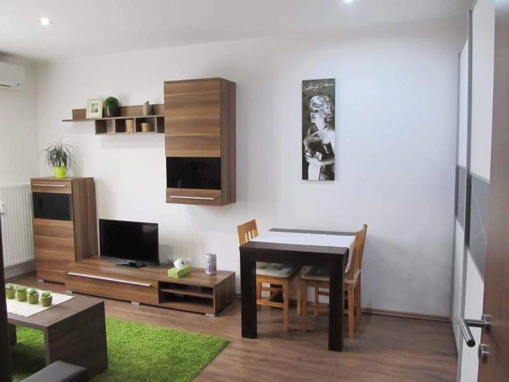 35m2 -es, 2 szobás Lakás kiadó (Pécs, Budai Nagy Antal)