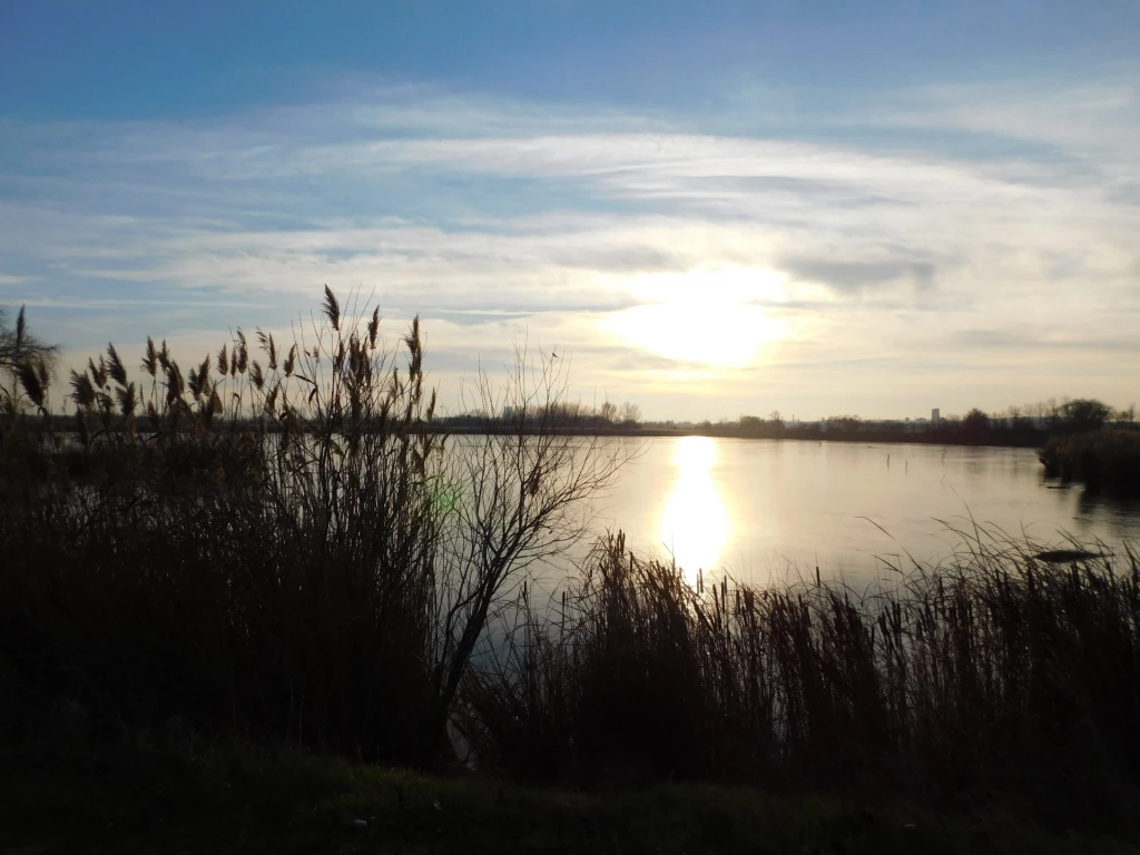 Eladó Üzlethelyiség, Várpalota 9.900.000 Ft