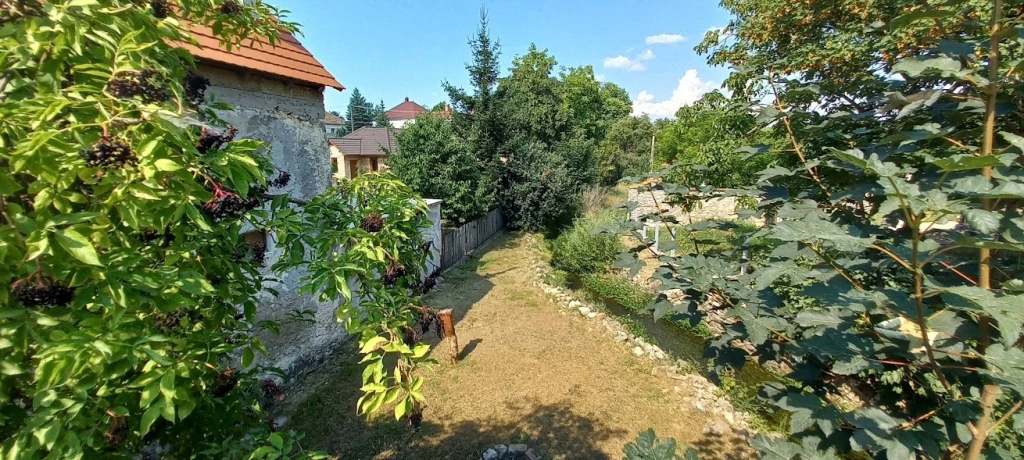 For sale house, Öskü