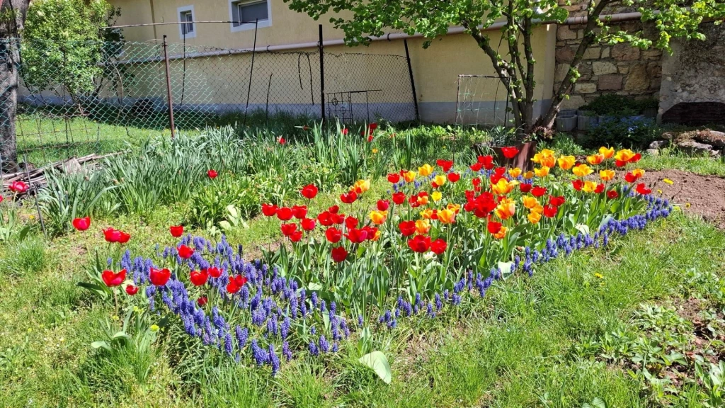 Eladó Ház, Tótvázsony 79.000.000 Ft