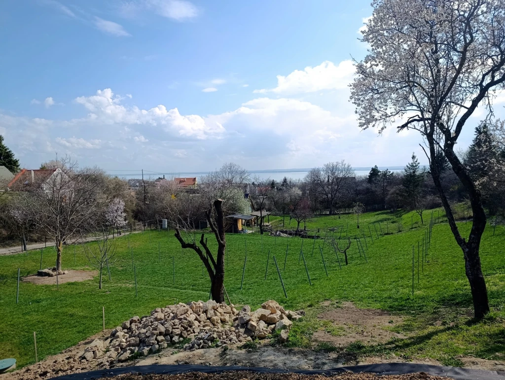 Eladó Telek, Csopak 88.900.000 Ft