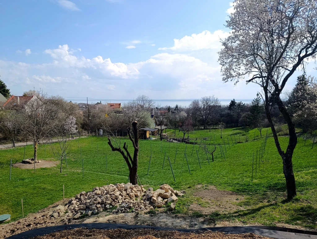 Eladó Mezőgazdasági, Paloznak 88.900.000 Ft