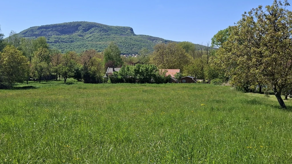 Eladó Telek, Badacsonytomaj Csigáskuti 31.500.000 Ft