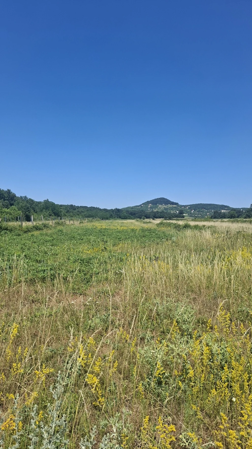 Eladó Mezőgazdasági, Zánka 5.900.000 Ft