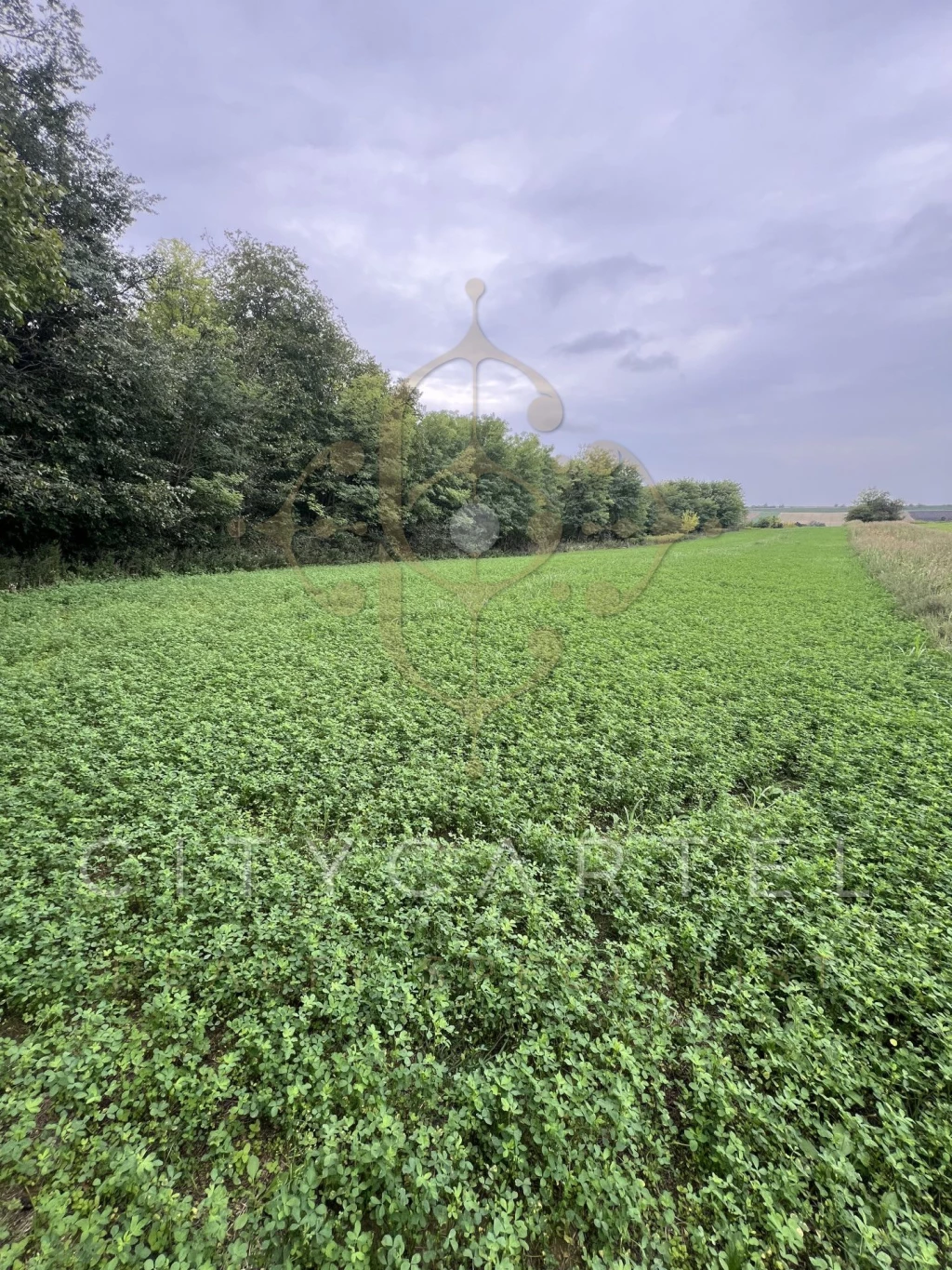 For sale closed garden, Balatonboglár