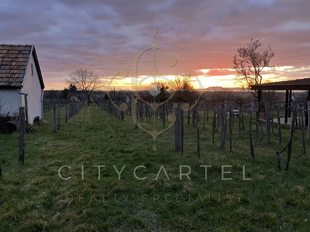 Részpanorámás zártkerti terület szőlőssel