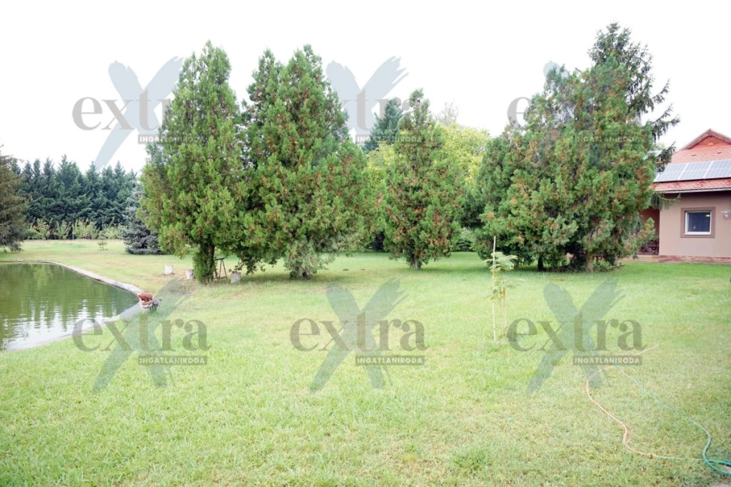 Szatymazi gyönyszem