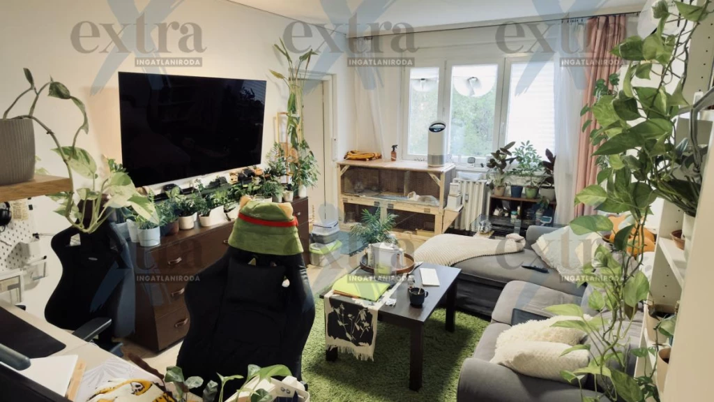 For sale panel flat, Szeged