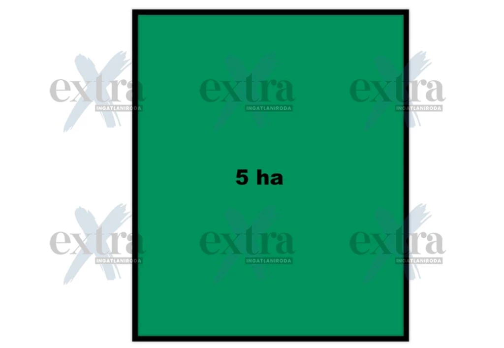 For sale plough-land, pasture, Ruzsa