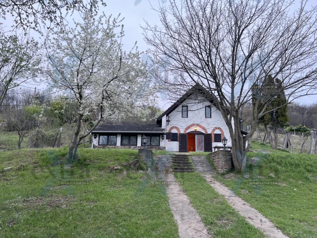 Kivételes lehetőség: Örök panorámás kilátás a Balatonra!