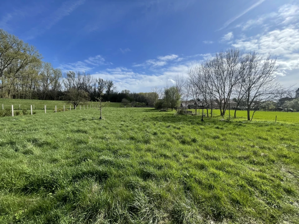 For sale building plot, Bodonhely