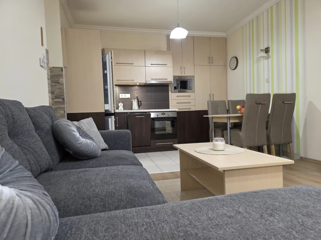 Egyetem sugárúton nappali+2 szobás lakás kiadó