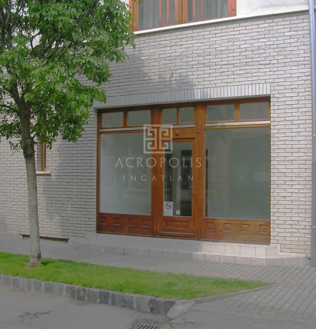 Kecskemét, belvárosában újszerű állapotban üzlethelyiség/irodaként is használható kiadó