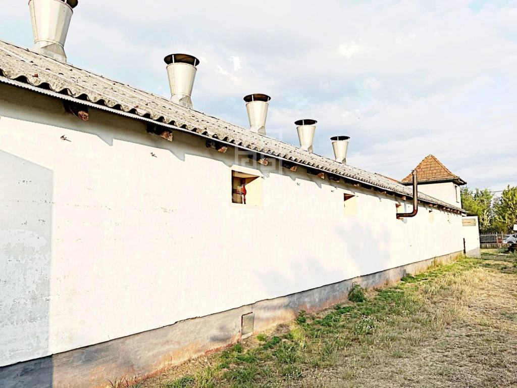 Kecskeméten a Miklóstelepi út végén 2800 m2-es területen istáló/raktár eladó