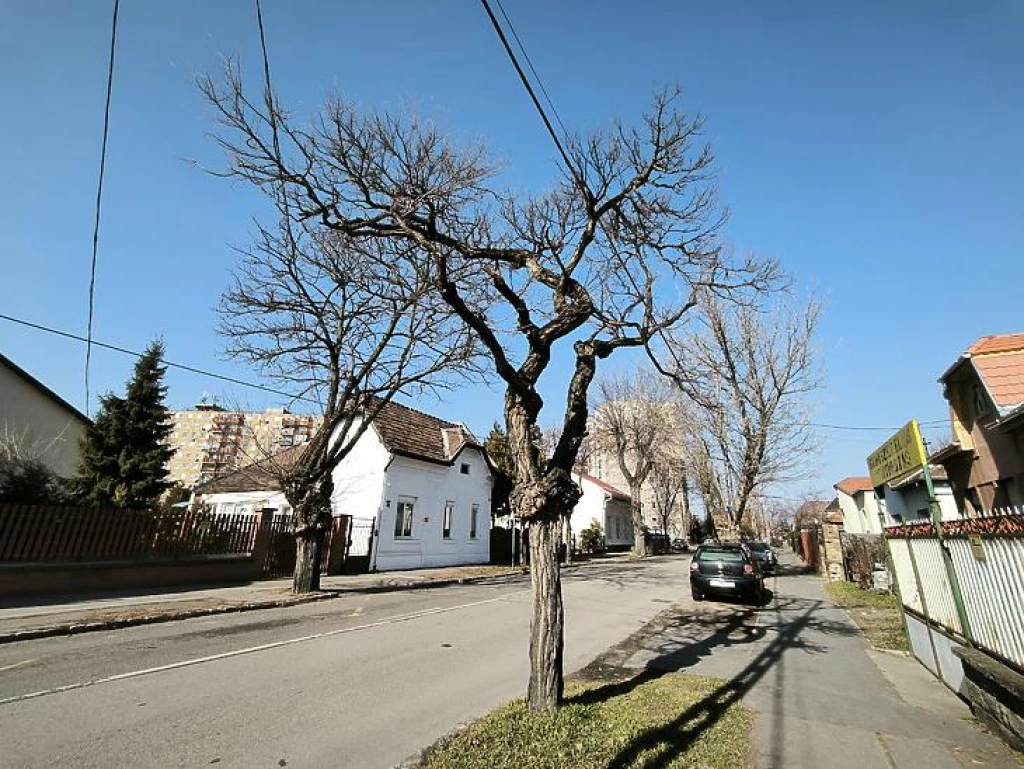 Eladó telephely, Budapest IV. kerület, Újpest