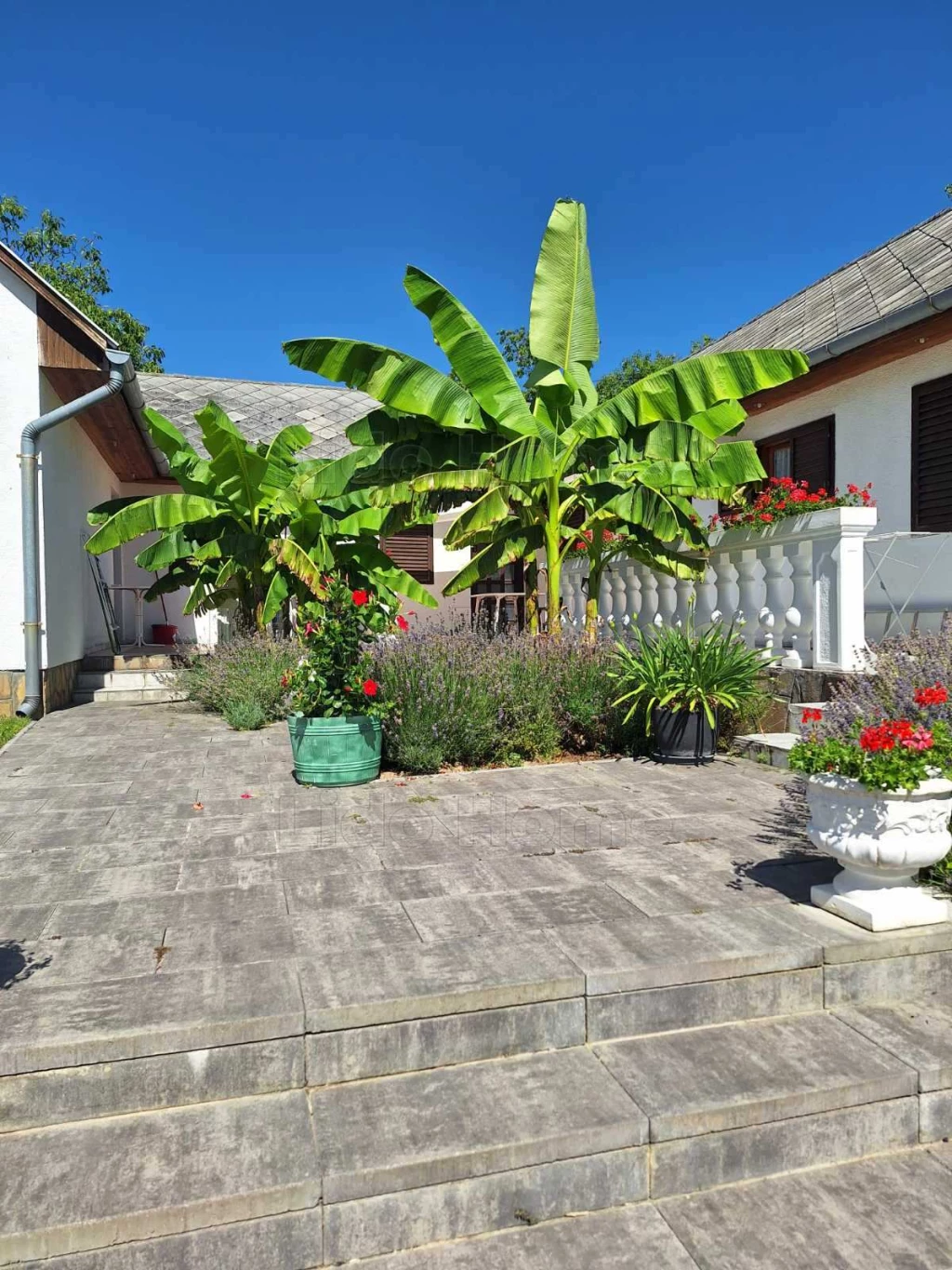 Medencés üdülőkomplexum és különálló családi ház Vonyarcon