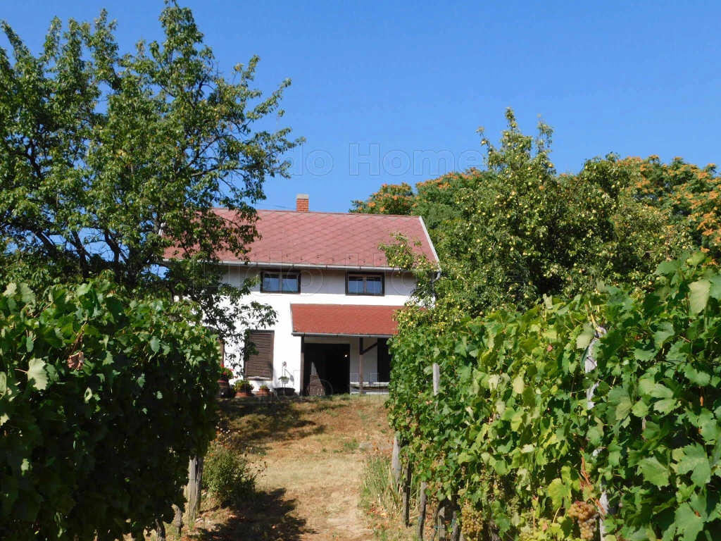 For sale holiday house, summer cottage, Rezi