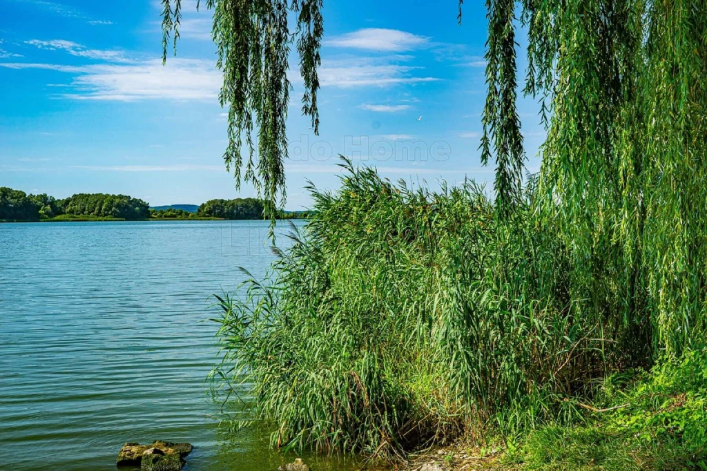 Erkélyes, első emeleti lakás eladó a nyugati városrészben!