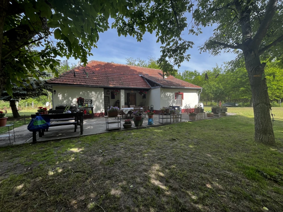 Eladó tanya, Mikebuda