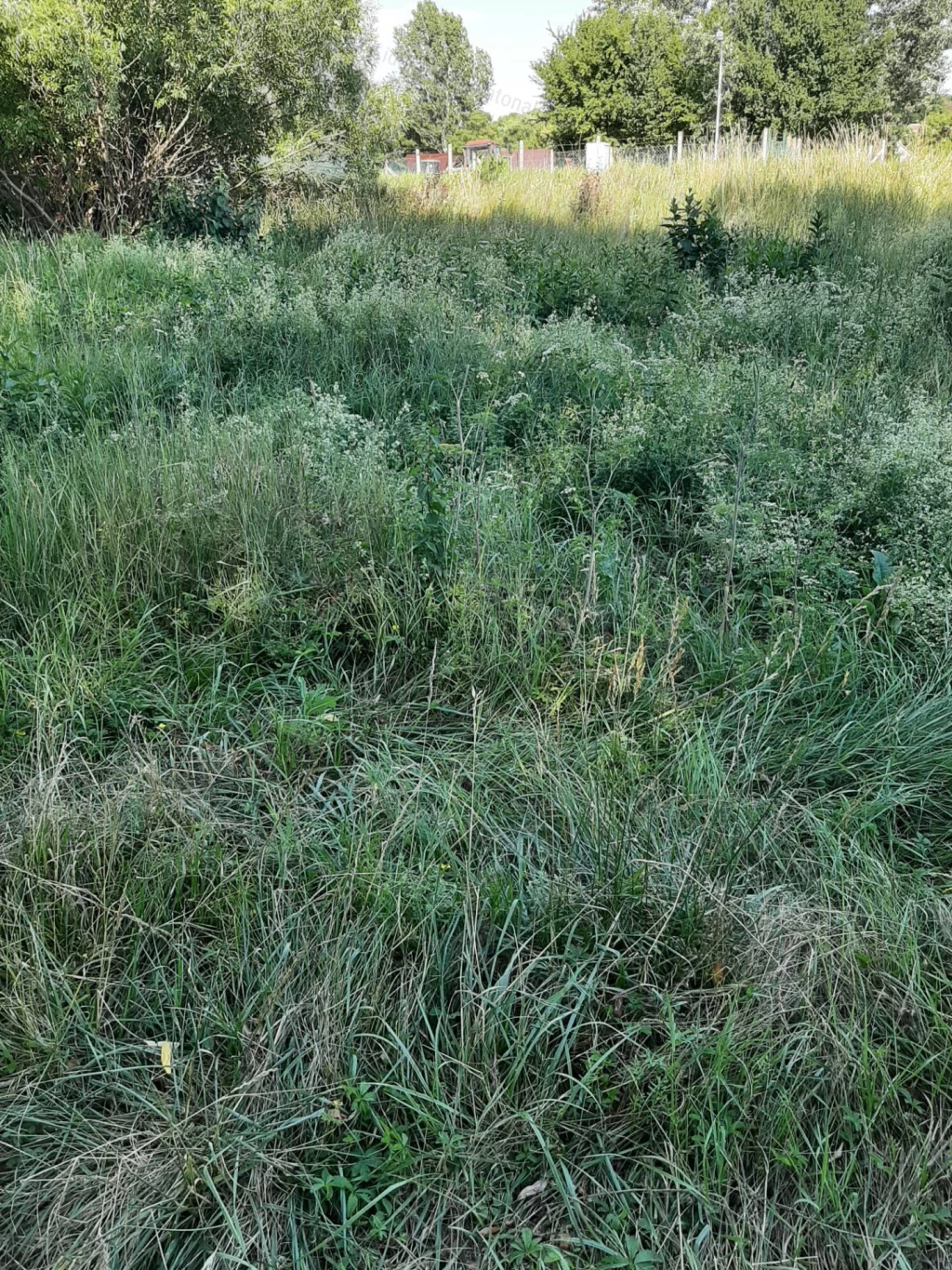 For sale plough-land, pasture, Veszprém