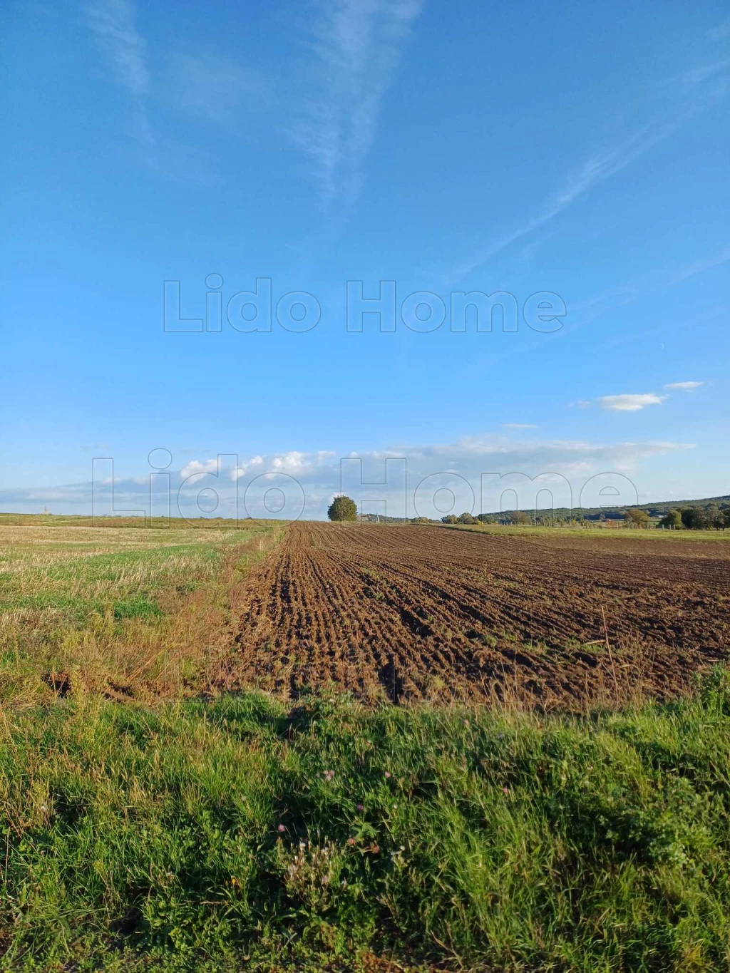 For sale plough-land, pasture, Nemesvámos