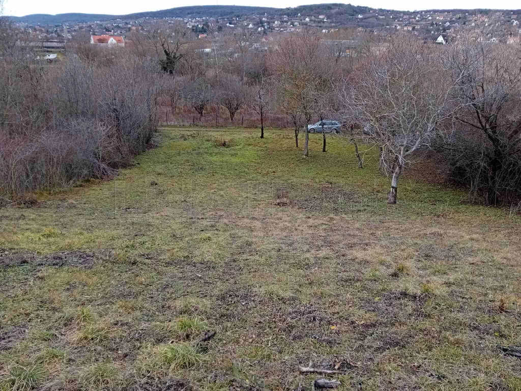 Balatonalmádi Lido Home Ingatlaniroda eladásra kínálja Lovas külterületi mezgarzdasági 1856m2-es telkét.