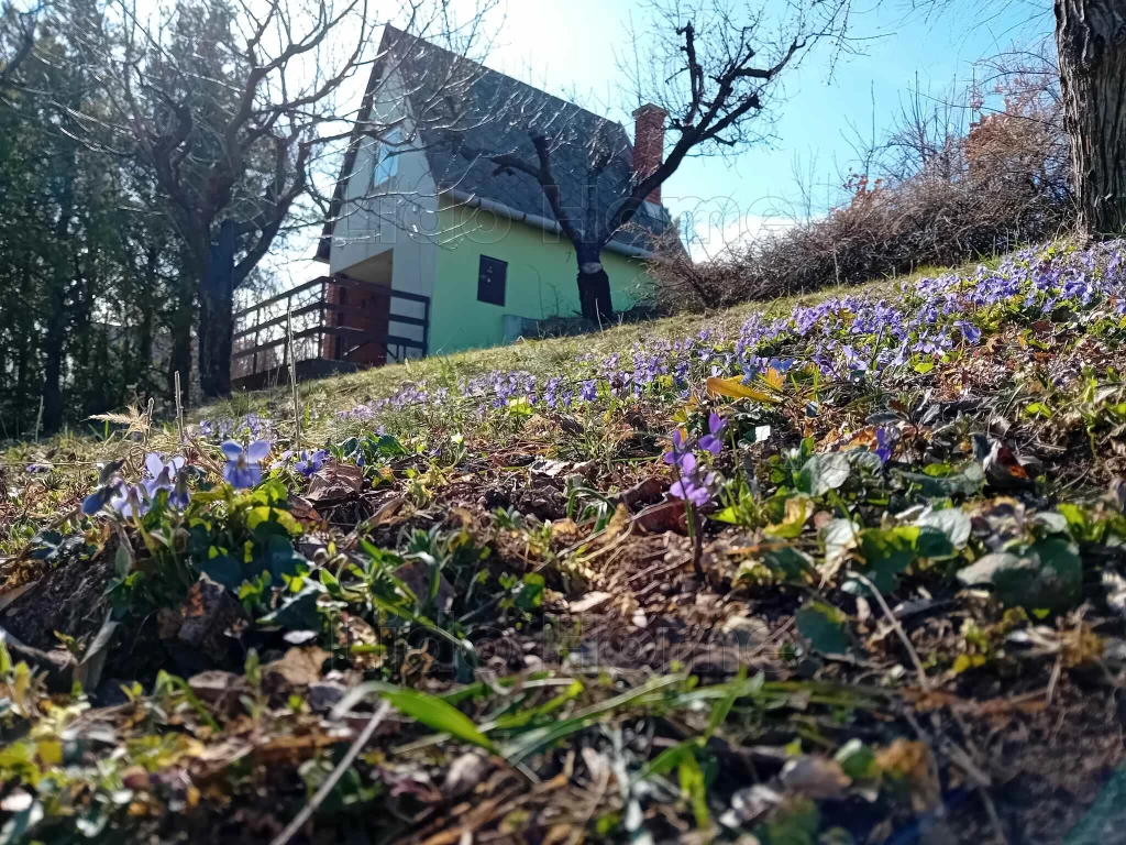 ELADÓ BALATON PANORÁMÁS PINCE BALATONALMÁDI FELETT