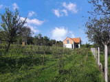 c3-1-name c2-1-name, Balatonalmádi