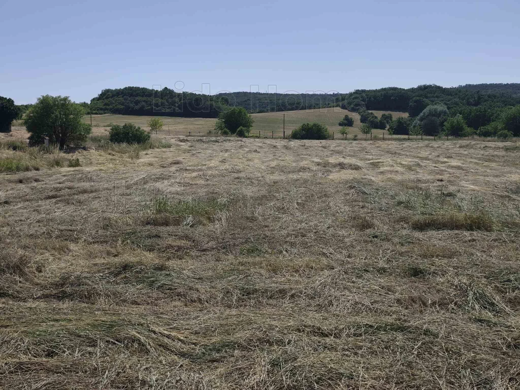 Fejlsztési terület közvetlenül a belterület határán Felsőörsön!
