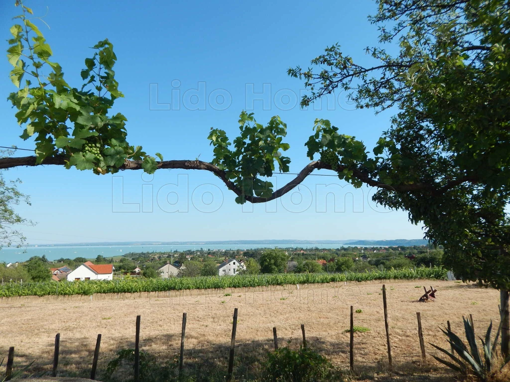 For sale house, Csopak