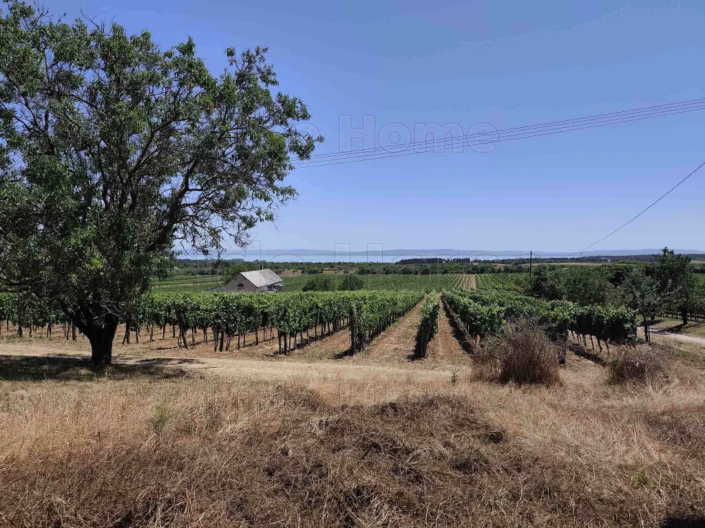 Zártkert Tagyon, pár perc autóútra Zánka központjától!