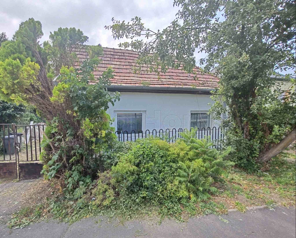 Balatonfűzfői családi ház csendes kis patak mellett – remek lokáció, felújítási lehetőség!