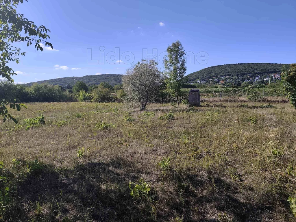 Belterületi építési telek Csopakon, gyönyörű környezetben!