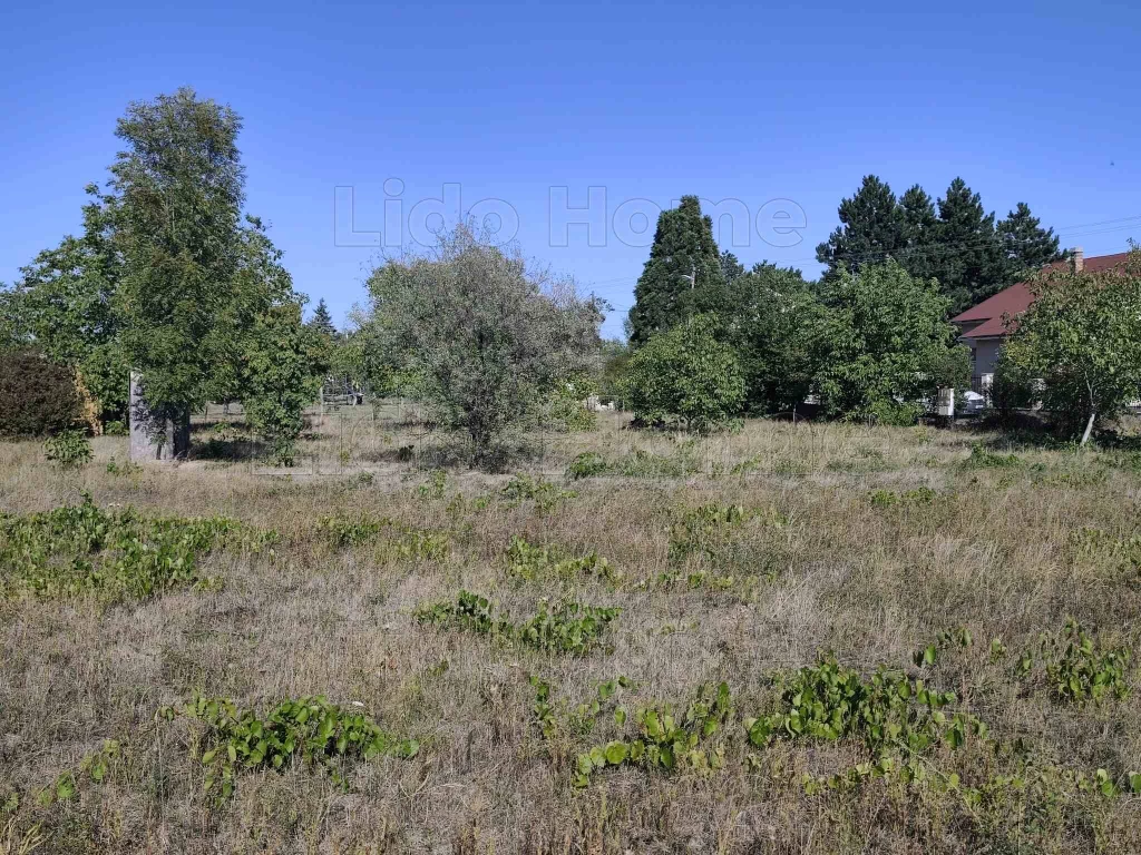 Belterületi építési telek Csopakon, gyönyörű környezetben!